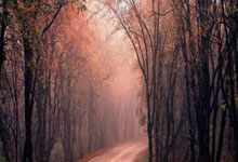 九球体育官网:羽毛球名将周昊东发文:已向国家队提交离队报告大众新闻-大众日报.