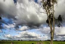 九球体育官网:爱奇艺体育英超西甲欧冠欧洲杯网球高尔夫等顶级赛事高清视....