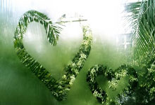 九球体育官网：[图]德甲-奥利塞破门 拜仁客场3-3遭法兰克福补时绝平.