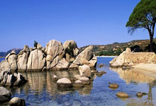 九球体育官网:1-0小胜国足终结沙特在18强赛191天的进球荒,上次进球也是战国足.